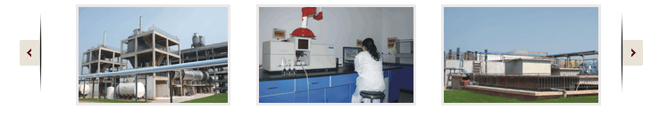 Anhui Jinyang Fluoride Chemical Co.,Ltd(AJFC)