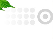 ʯ��ׯ�������������޹�˾