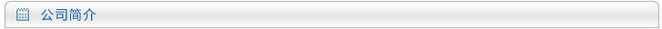公司简介