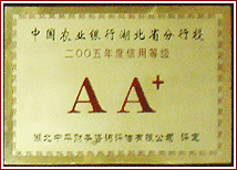 2005õȼAA+