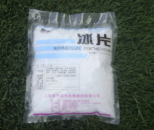 �� Ƭ(˼����)