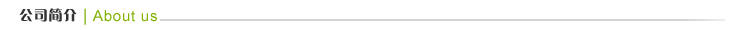 公司简介