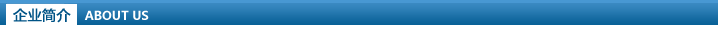 企业简介