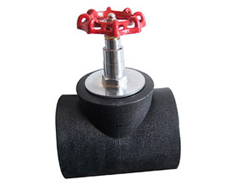 ����ʽ��ֹ��